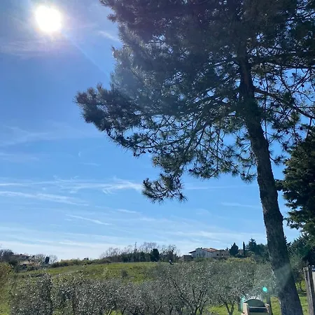 Country house San Martino - Casa Landi *